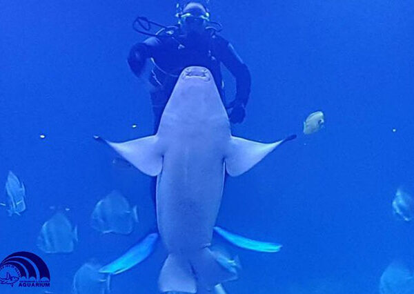 Aquarium