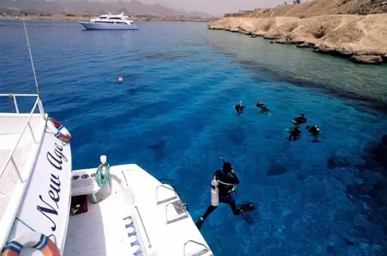 Diving