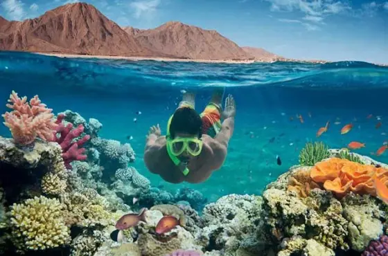 Diving Course