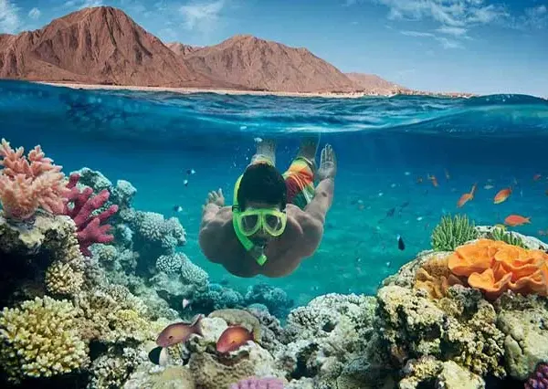 Diving Course
