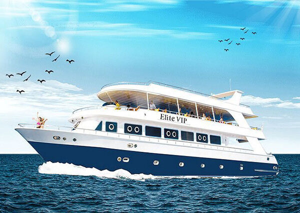 Elite Yacht VIP