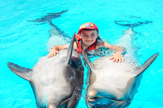 Family Photo Session with Dolphins