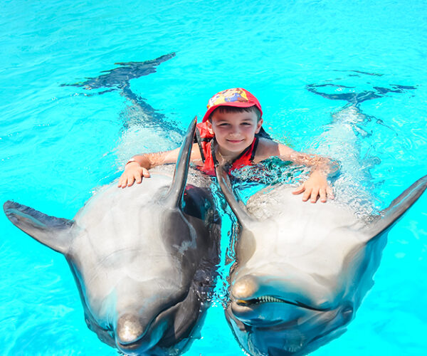 Family Photo Session with Dolphins