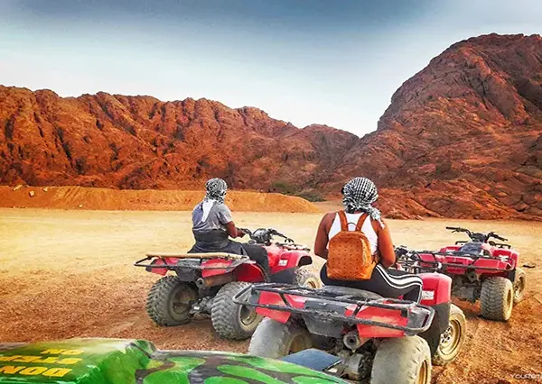 Stars in the Makadi Quad Safari Single