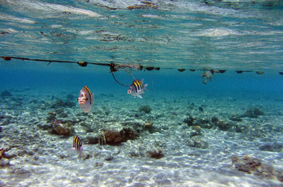 Sharm El Naga Beach