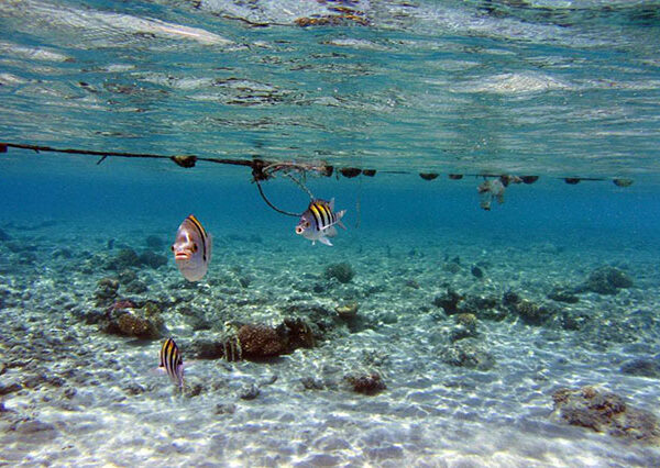 Sharm El Naga Beach