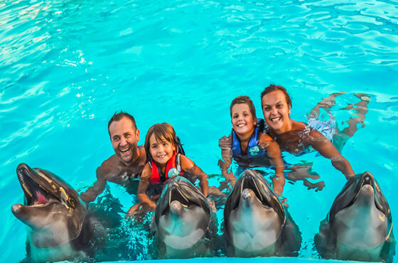 Swimming + Photo session with Dolphins