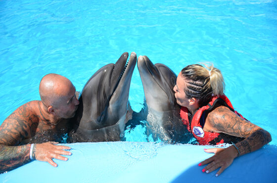 Swimming with Dolphins
